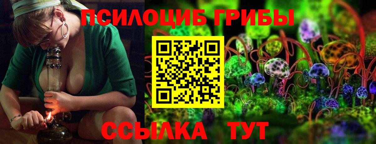 Галлюциногенные грибы Psilocybe  Вход с VPN  Новочеркасск  Псилоцибиновые грибы прущие грибы 